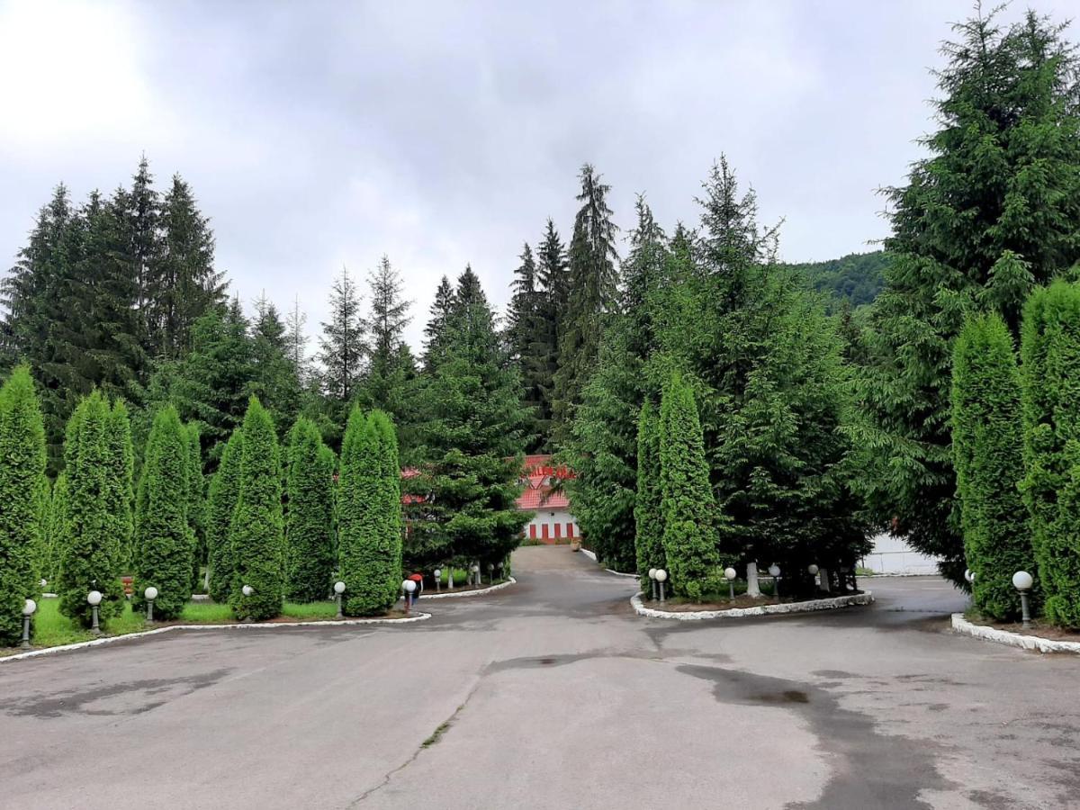 Отель Casute Valea Zanelor Ковасна Экстерьер фото